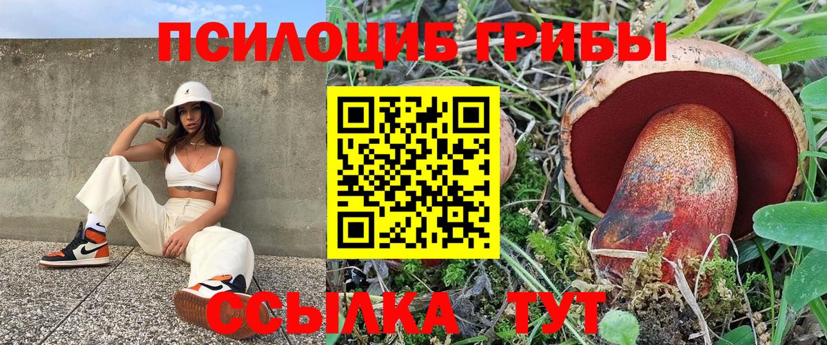 Псилоцибиновые грибы GOLDEN TEACHER Сергиев Посад